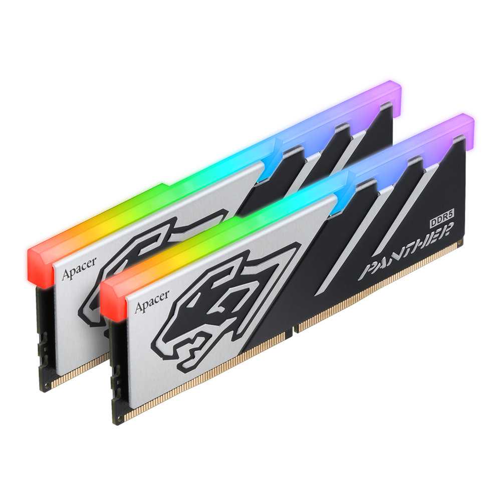 Panther_RGB_DDR5_04