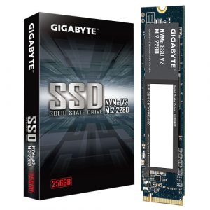 Gigabyte 256GB NVMe M.2 SSD # G3NVMEV2256G