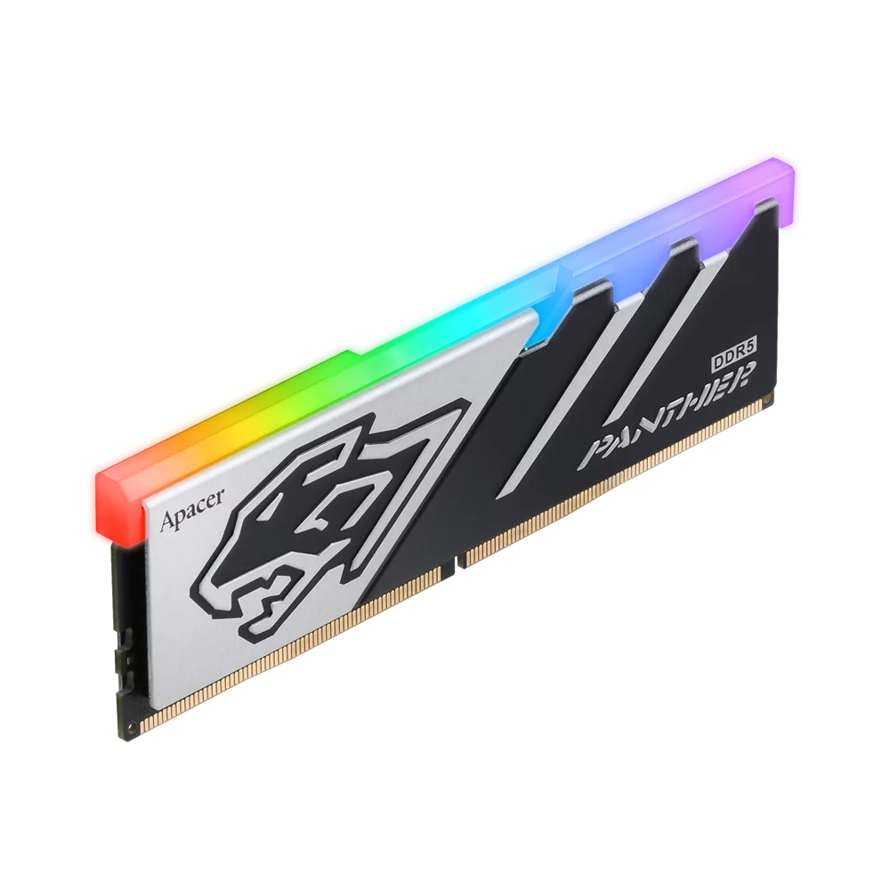 Panther_RGB_DDR5_02