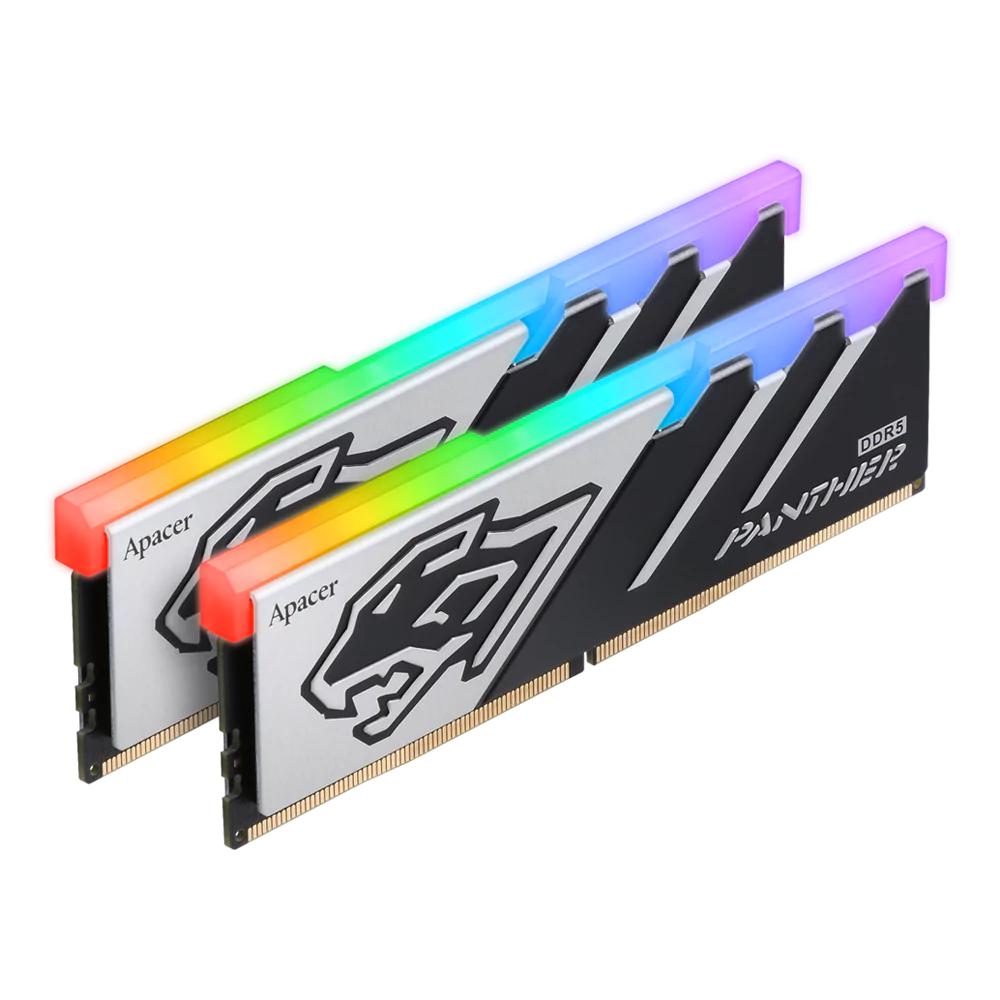 Panther_RGB_DDR5_04